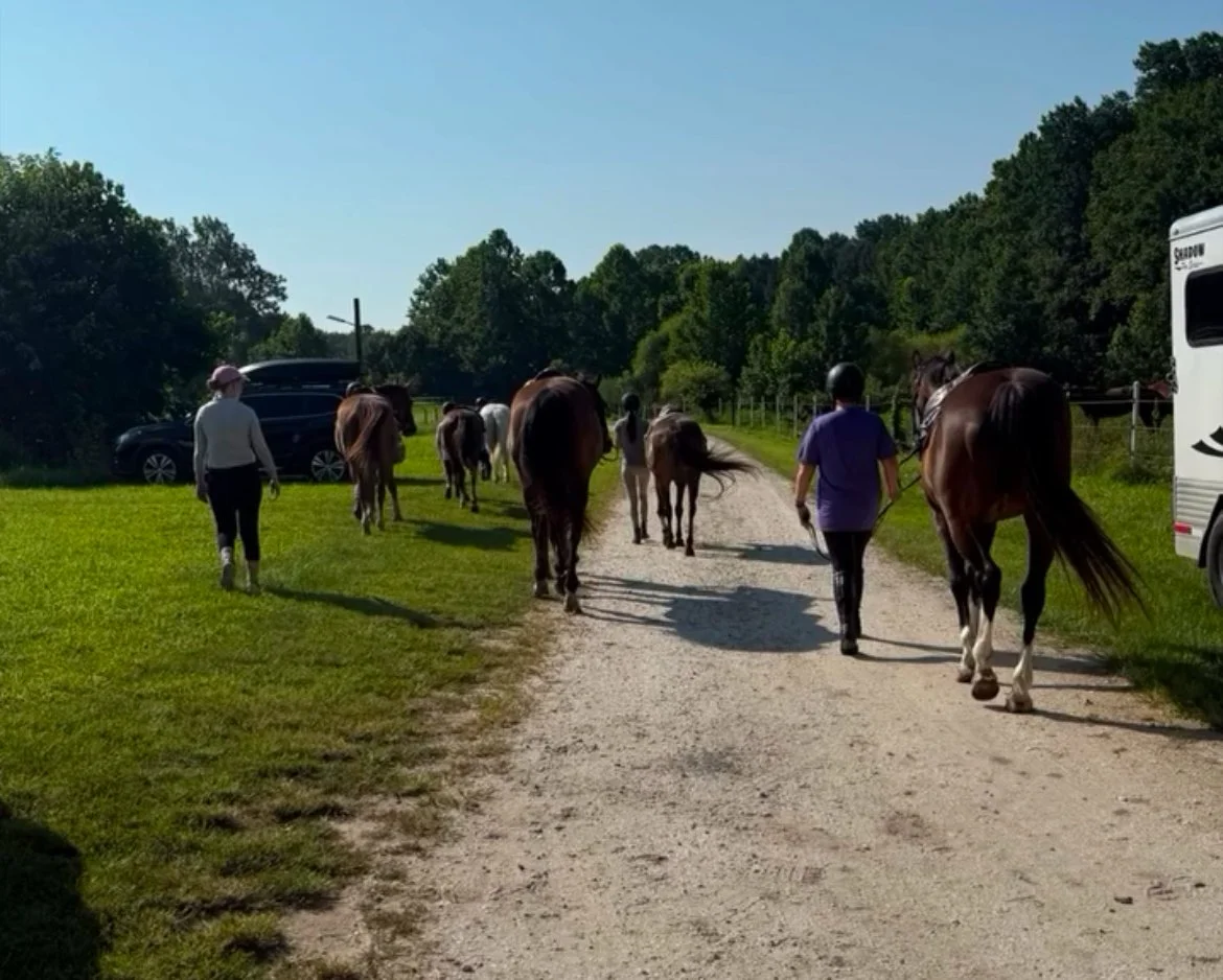 group lessons at Close Up Show Stables