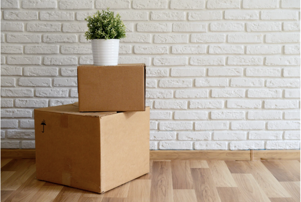 Two cardboard moving boxes stacked in front of a white brick wall, topped with a white pot containing a green plant, on a wooden floor.