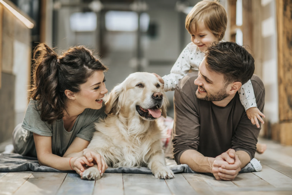 A happy family with a dog, including a woman, a man, a young girl, and a golden retriever puppy, lying on the wooden floor of a cozy home.