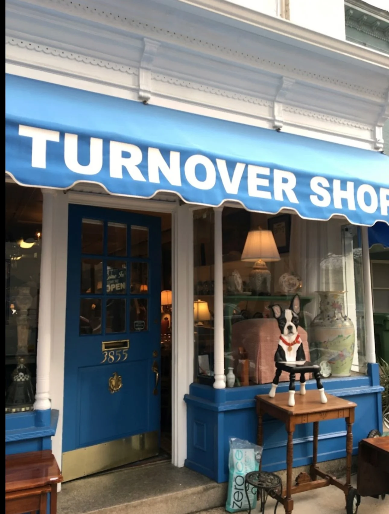 Storefront with a blue awning displaying 'TURNOVER SHOP', blue door with house number 3855, and a display window with lamps and large vases. A figurine of a dog is seated on a small wooden table in front of the display window.