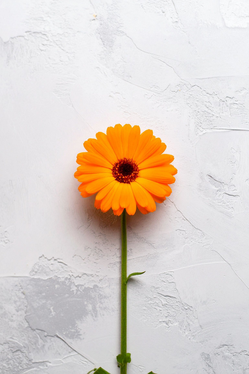 1:1 Coaching Foundations