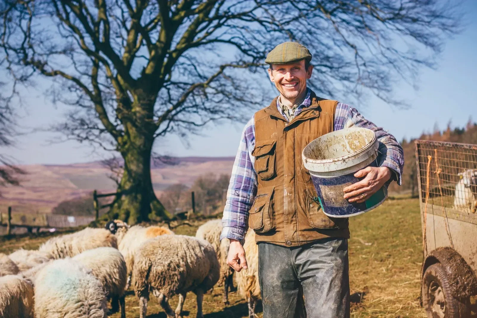 A farmer on a farm holding a bucket, surrounded by sheep and farmland with a large tree and hilly landscape.
