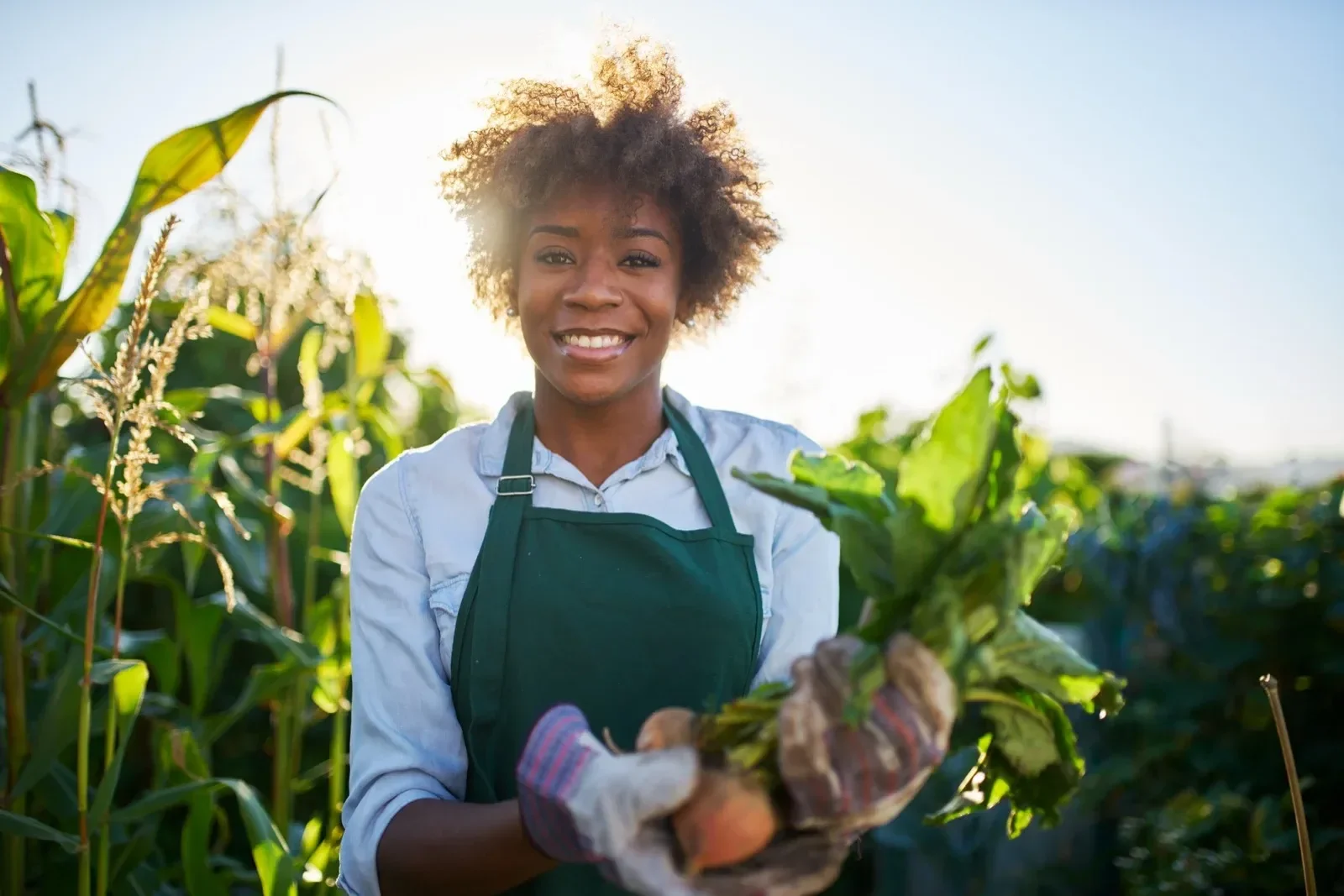 A young woman harvesting greens in a cornfield during sunlight, wearing a green apron and gloves, smiling at the camera.