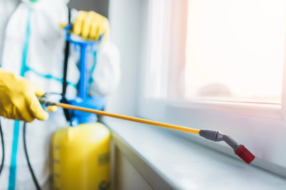 A person wearing yellow rubber gloves using a spray wand to disinfect a window sill in a cleaning or disinfecting setting.