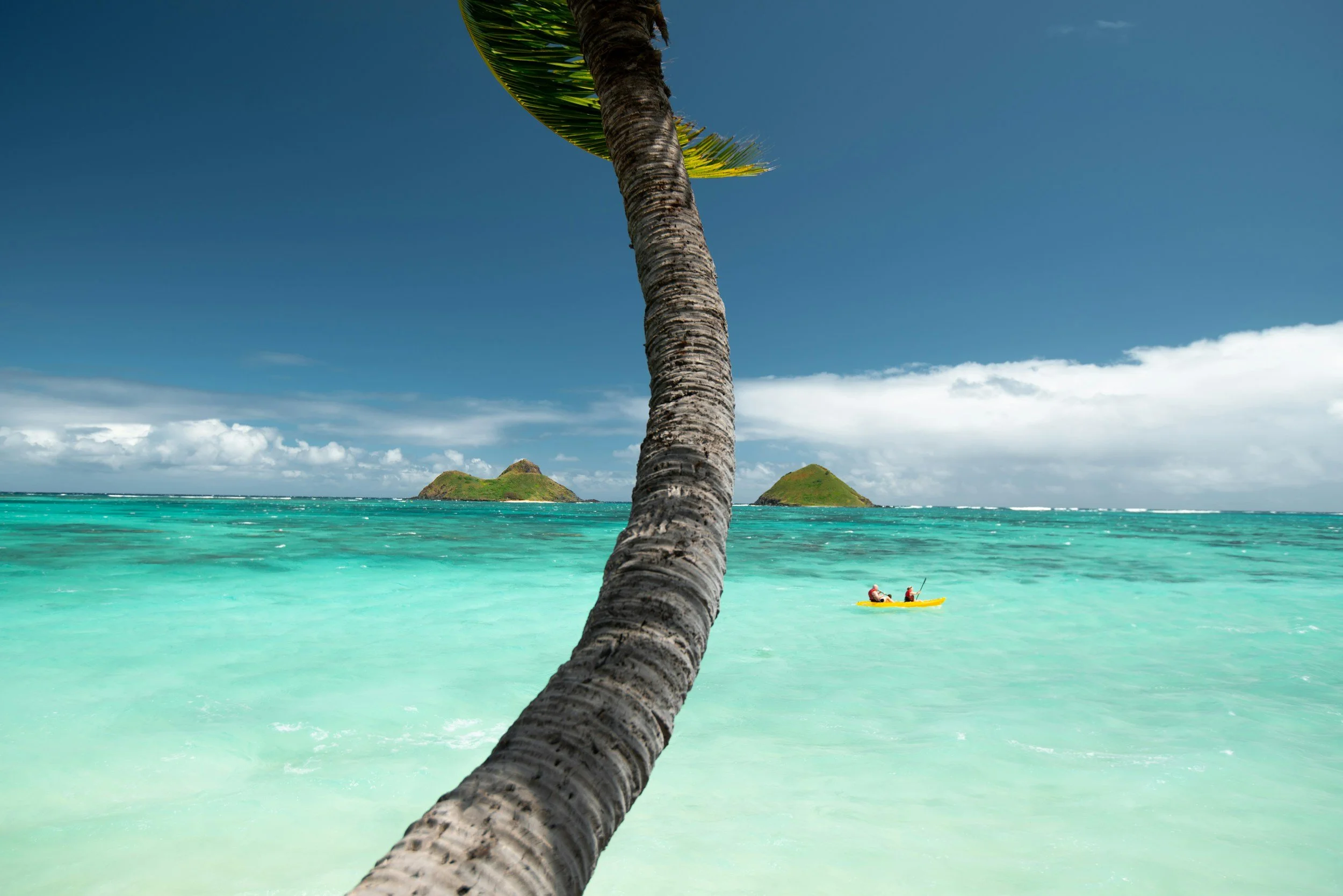 A tropical beach scene with turquoise water, a leaning palm tree in the foreground, and two small islands in the background. A person is kayaking in the water.