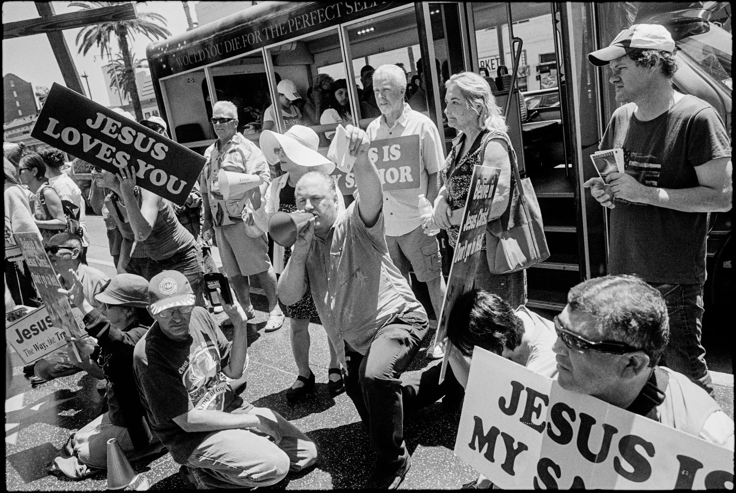 19-225 001-Edit_Spotted.webp