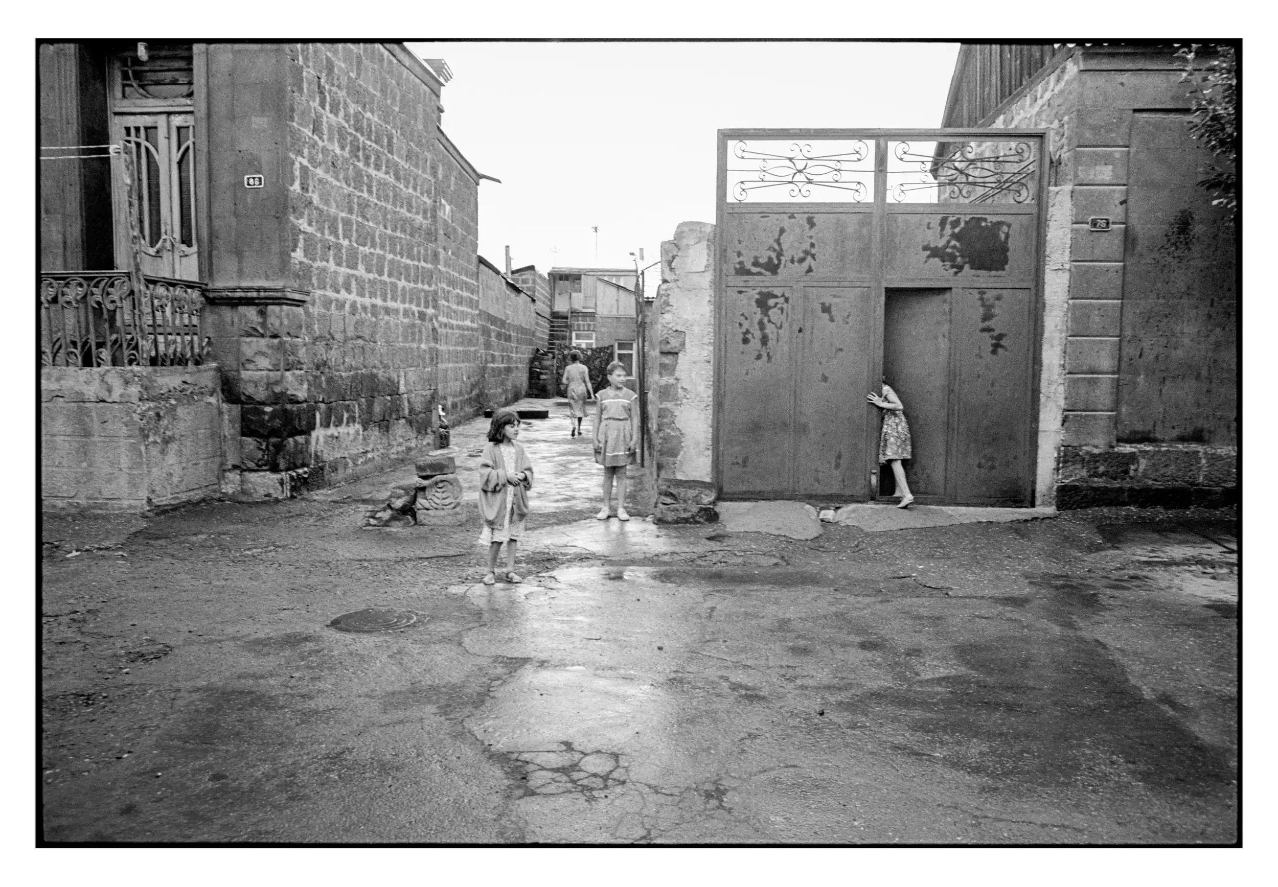 94-237_35 001_Spotted.webp