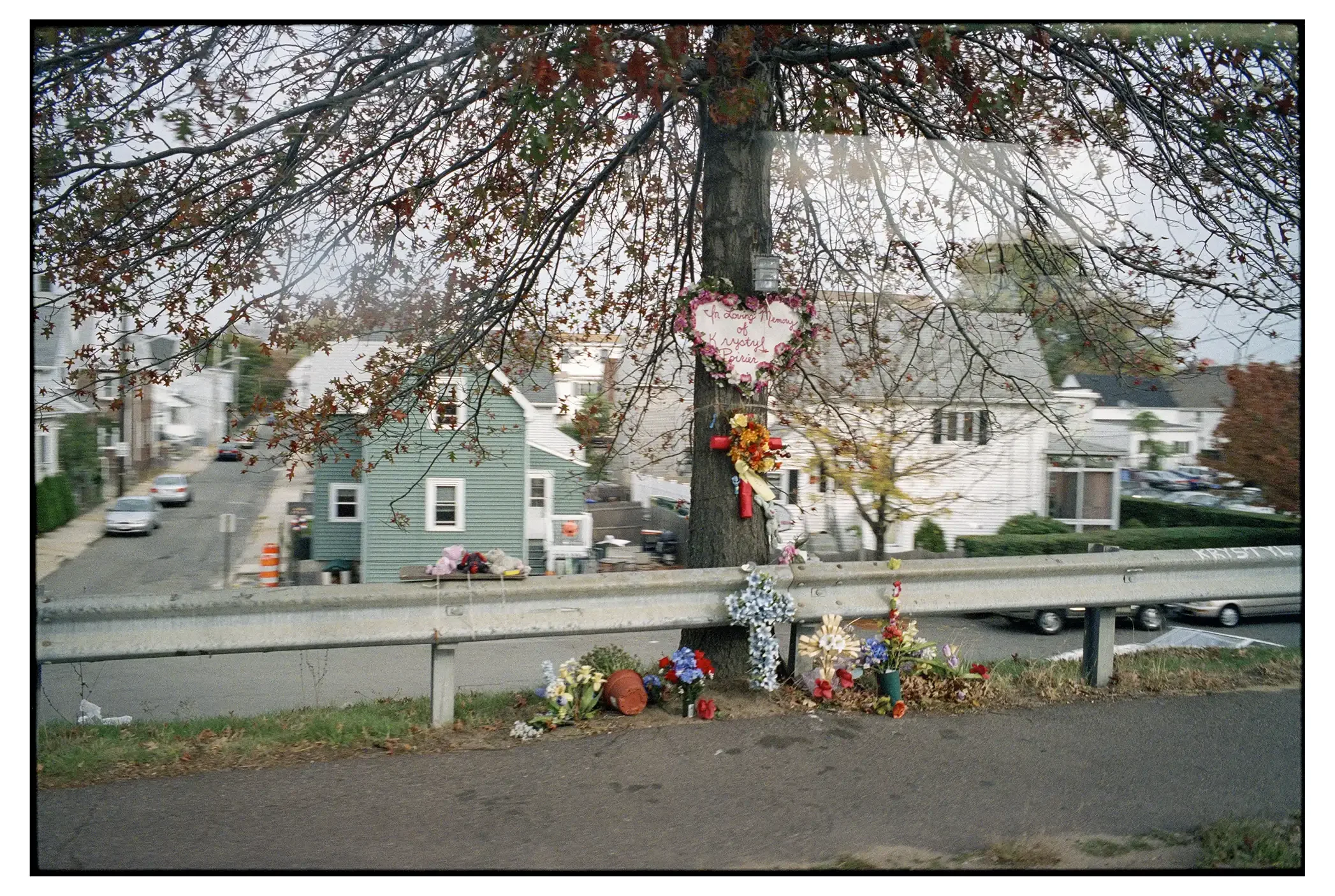 07-236c 001-copy-spotted copy.webp