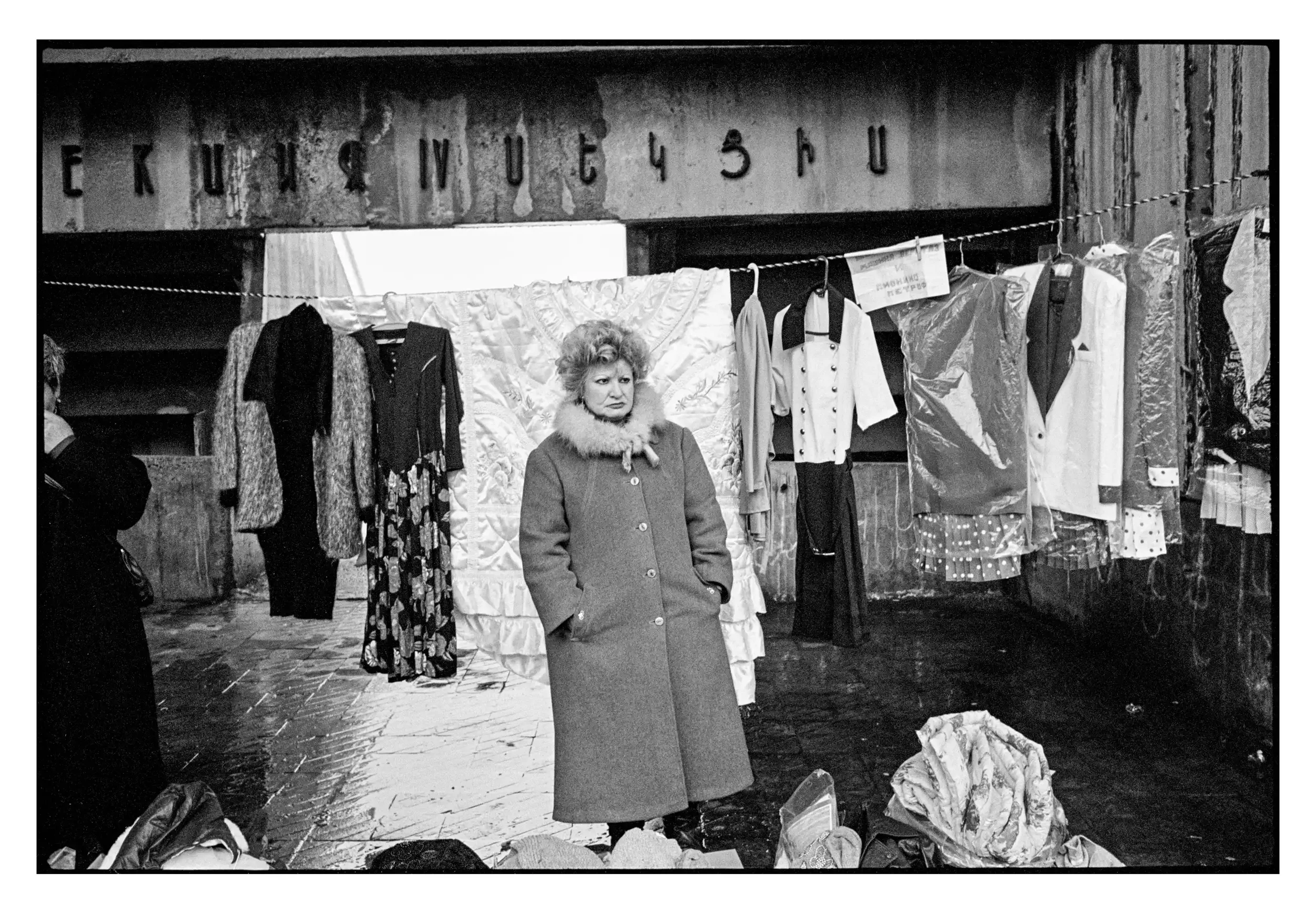 94-36_03a 001-Edit_Spotted.webp