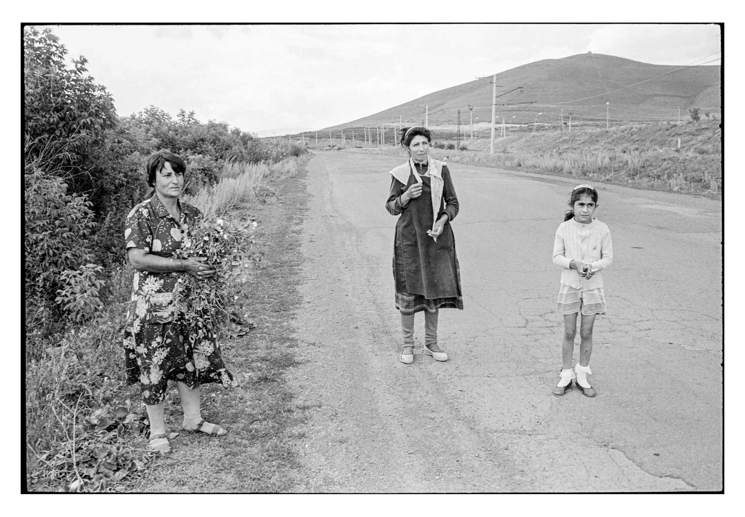 95-131_02 001_Spotted.webp