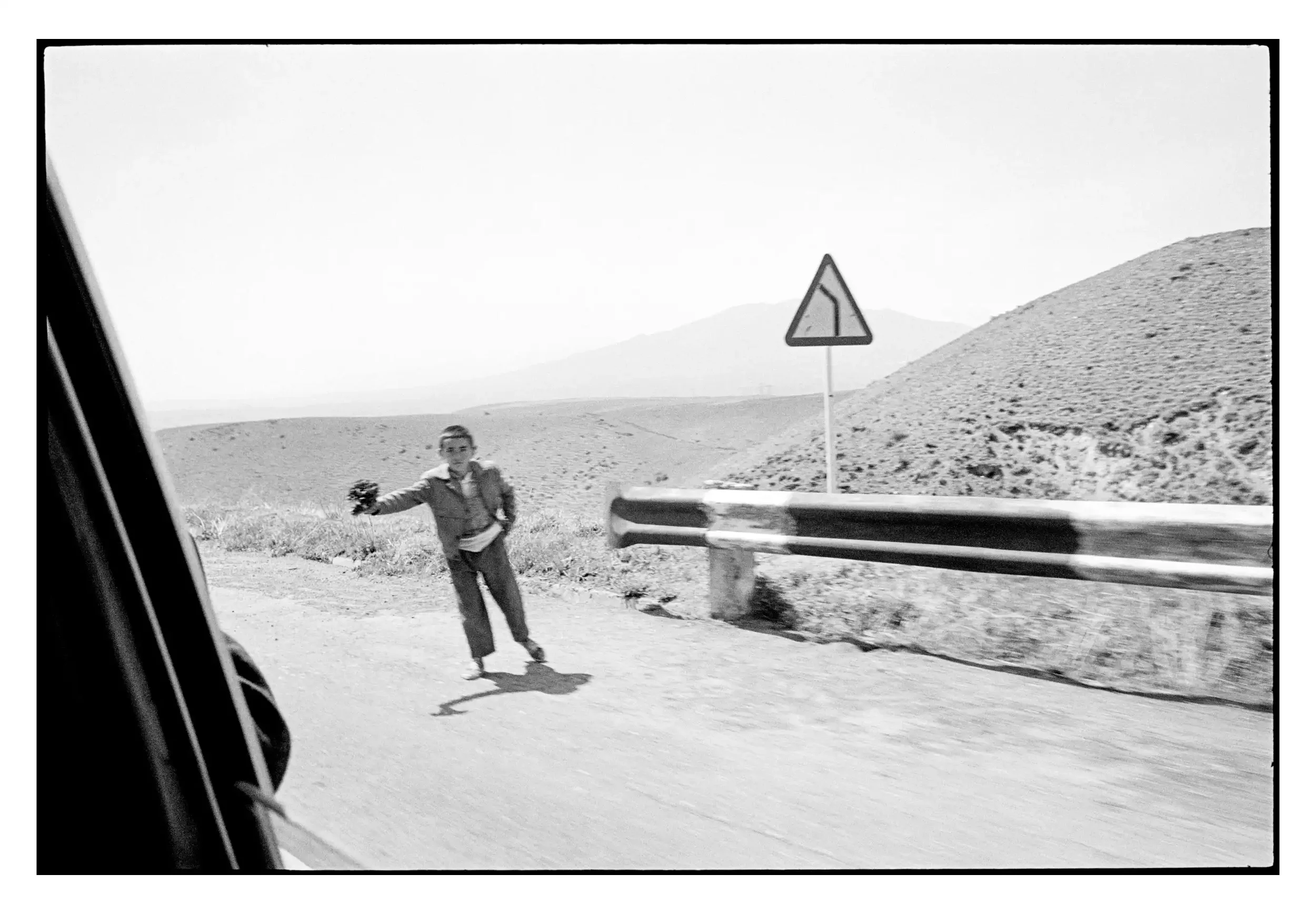 99-126_05a 001_Spotted.webp