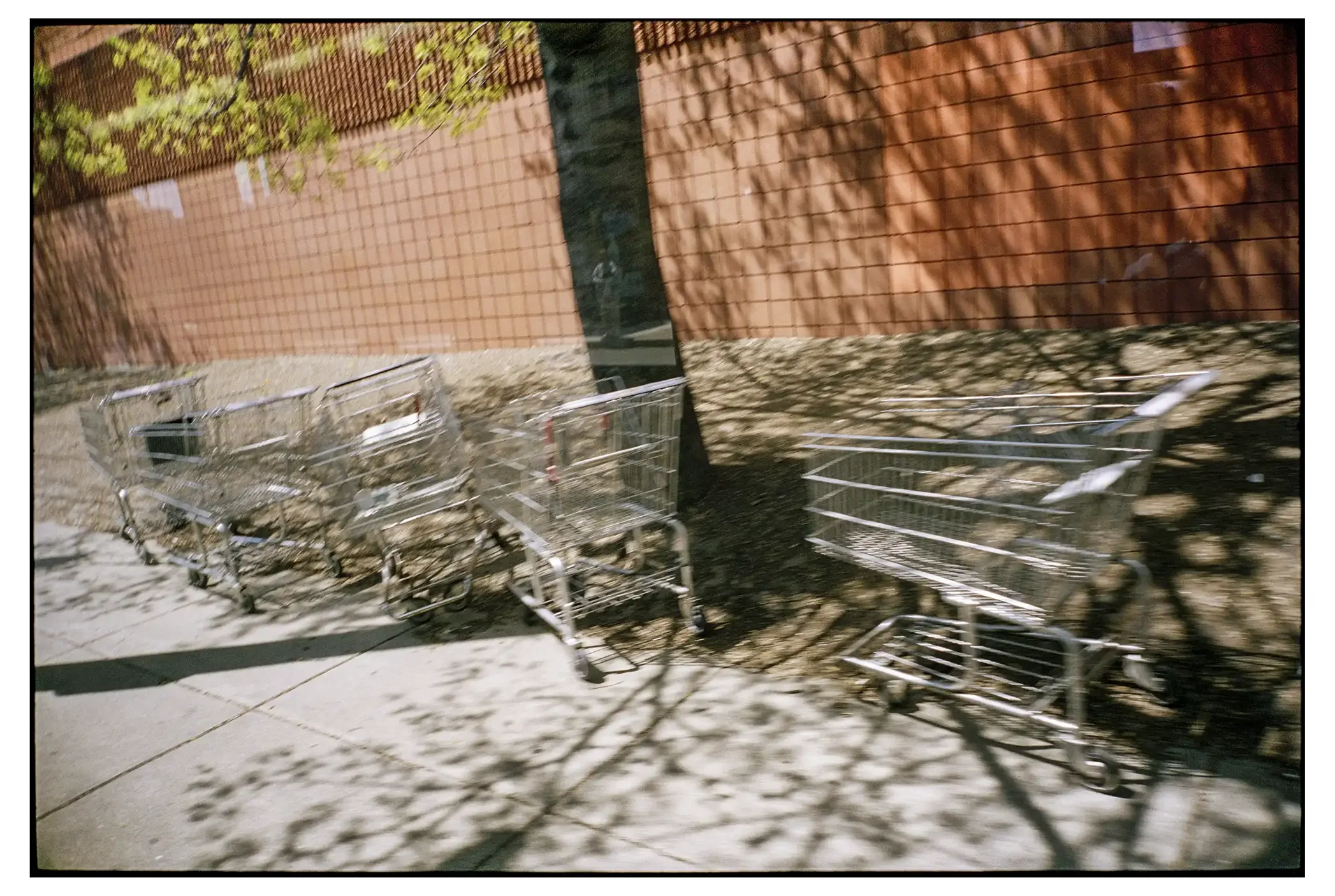 08-59c 001-copy-spotted copy.webp