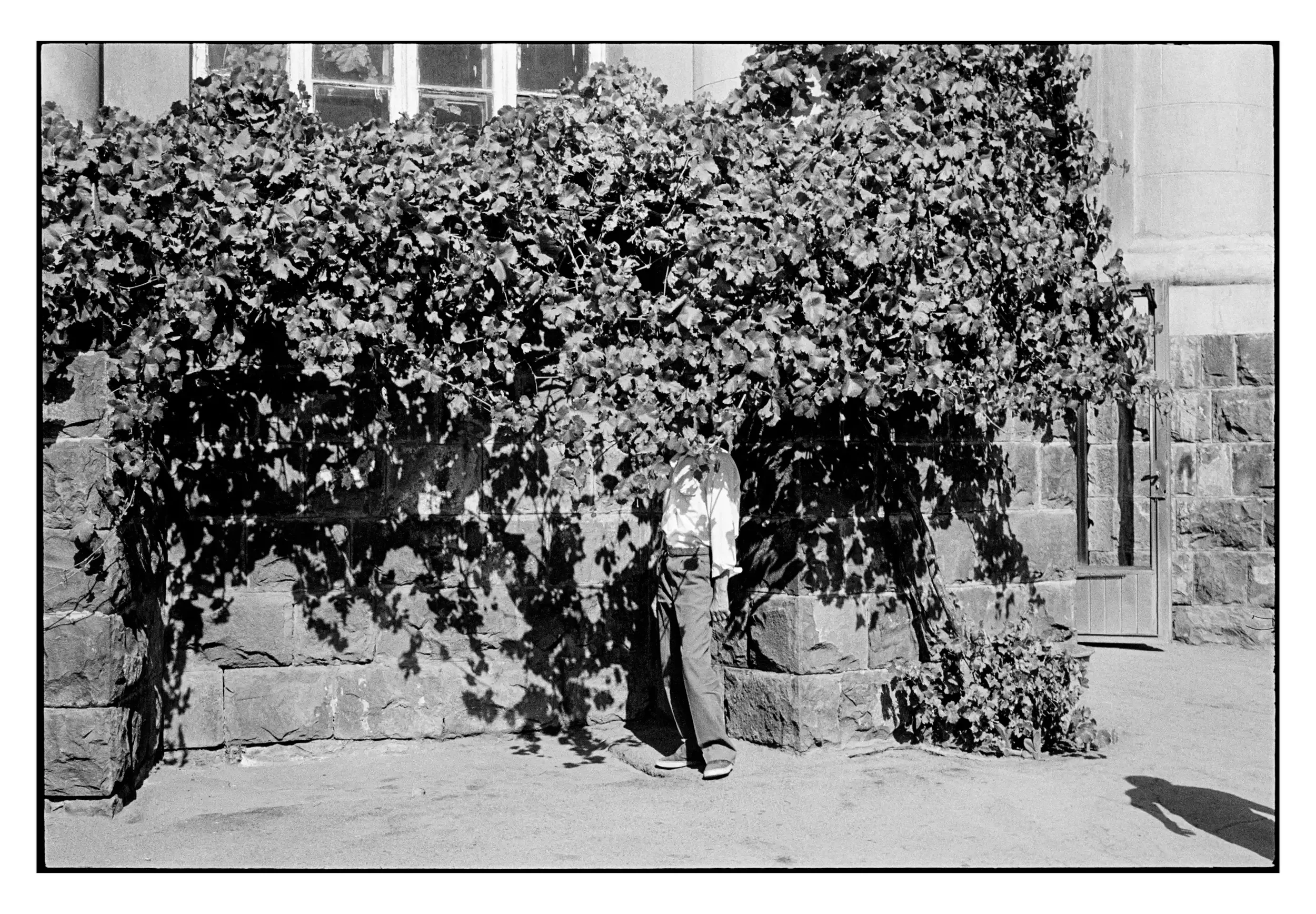 96-232_32a 001_Spotted.webp