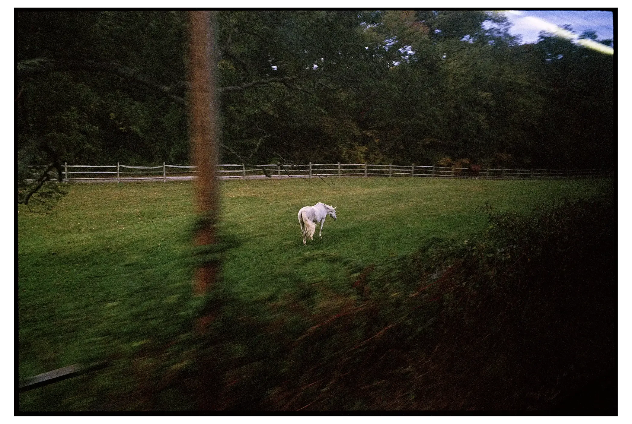 10-83c 001-copy-spotted copy.webp