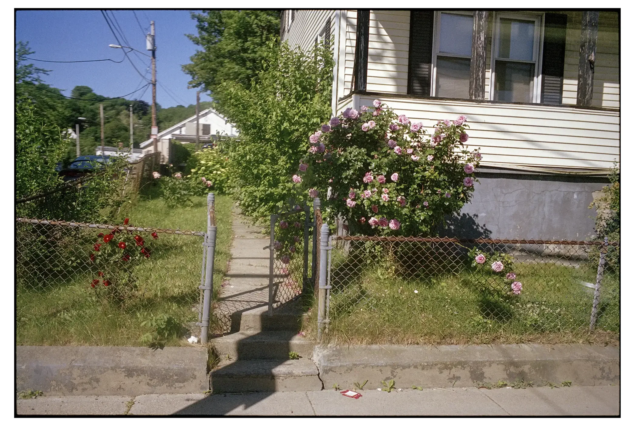 08-154c 002-copy-spotted copy.webp