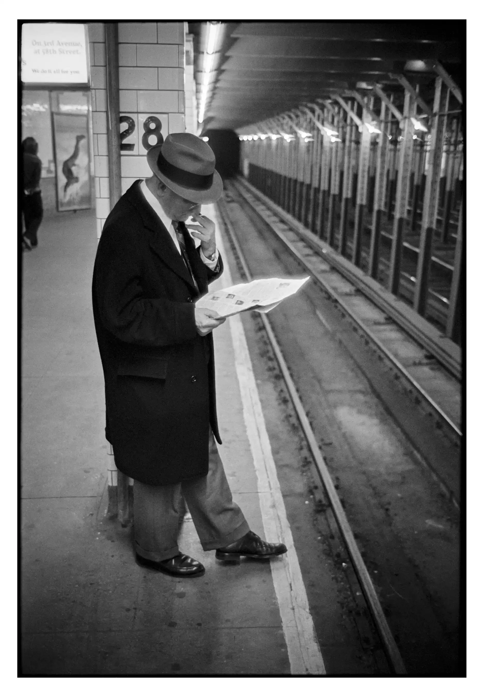 76-23_31 001_Spotted.webp