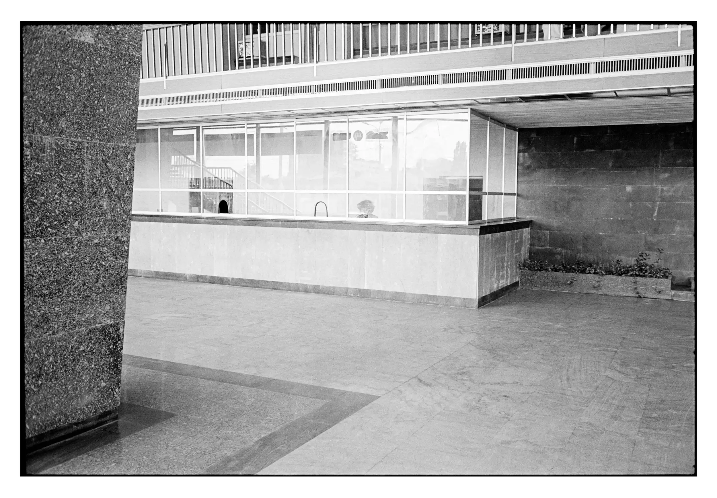 95-120_12 001_Spotted.webp