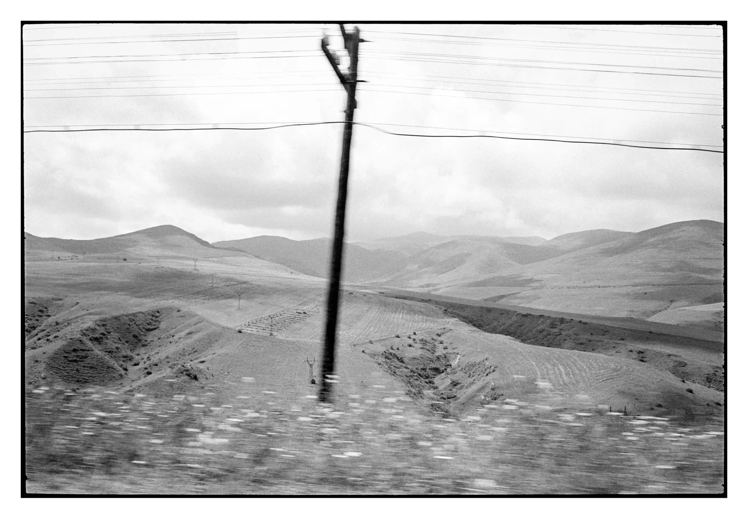 95-195_30 001_Spotted.webp