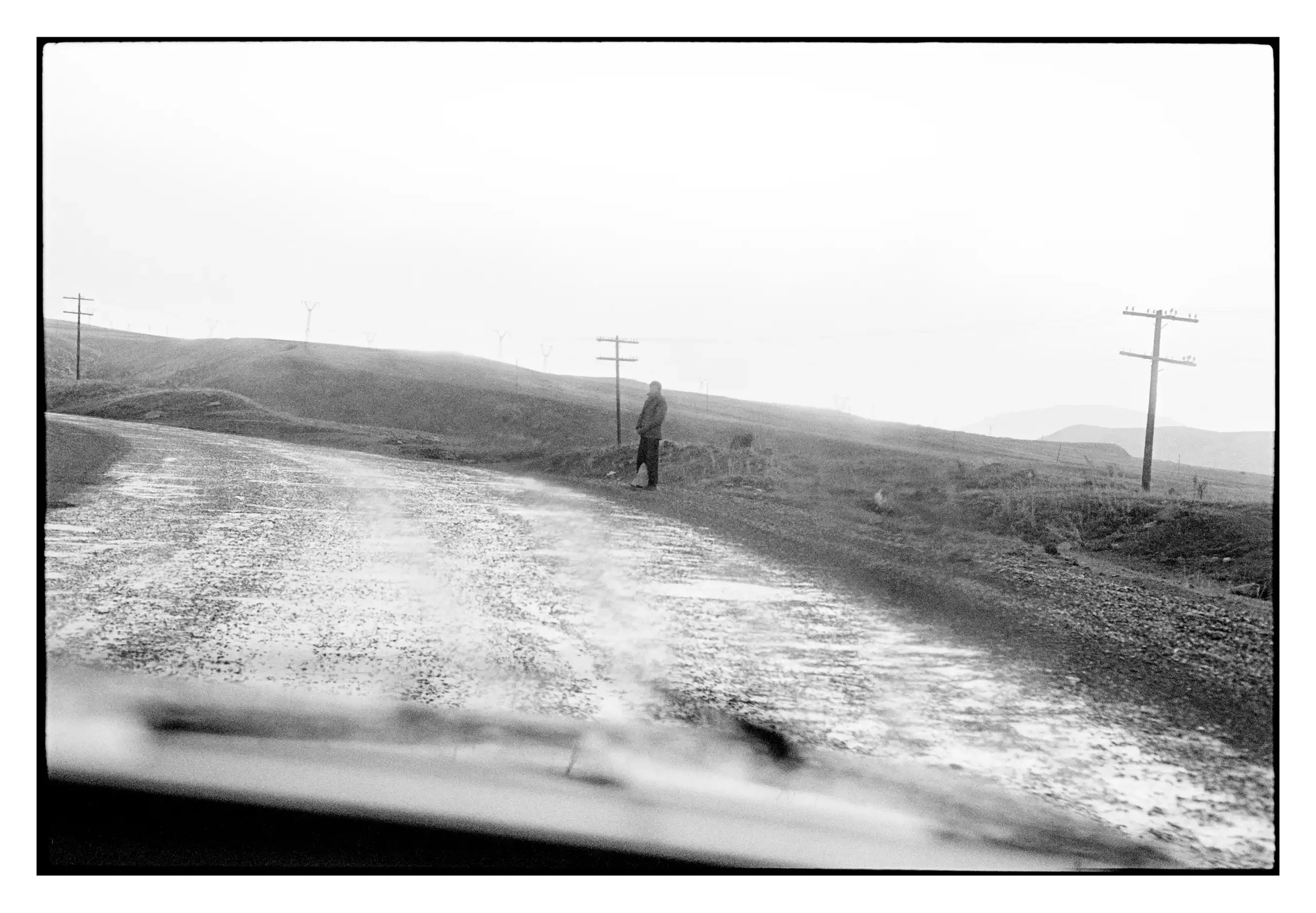 99-149_16a 001_Spotted.webp