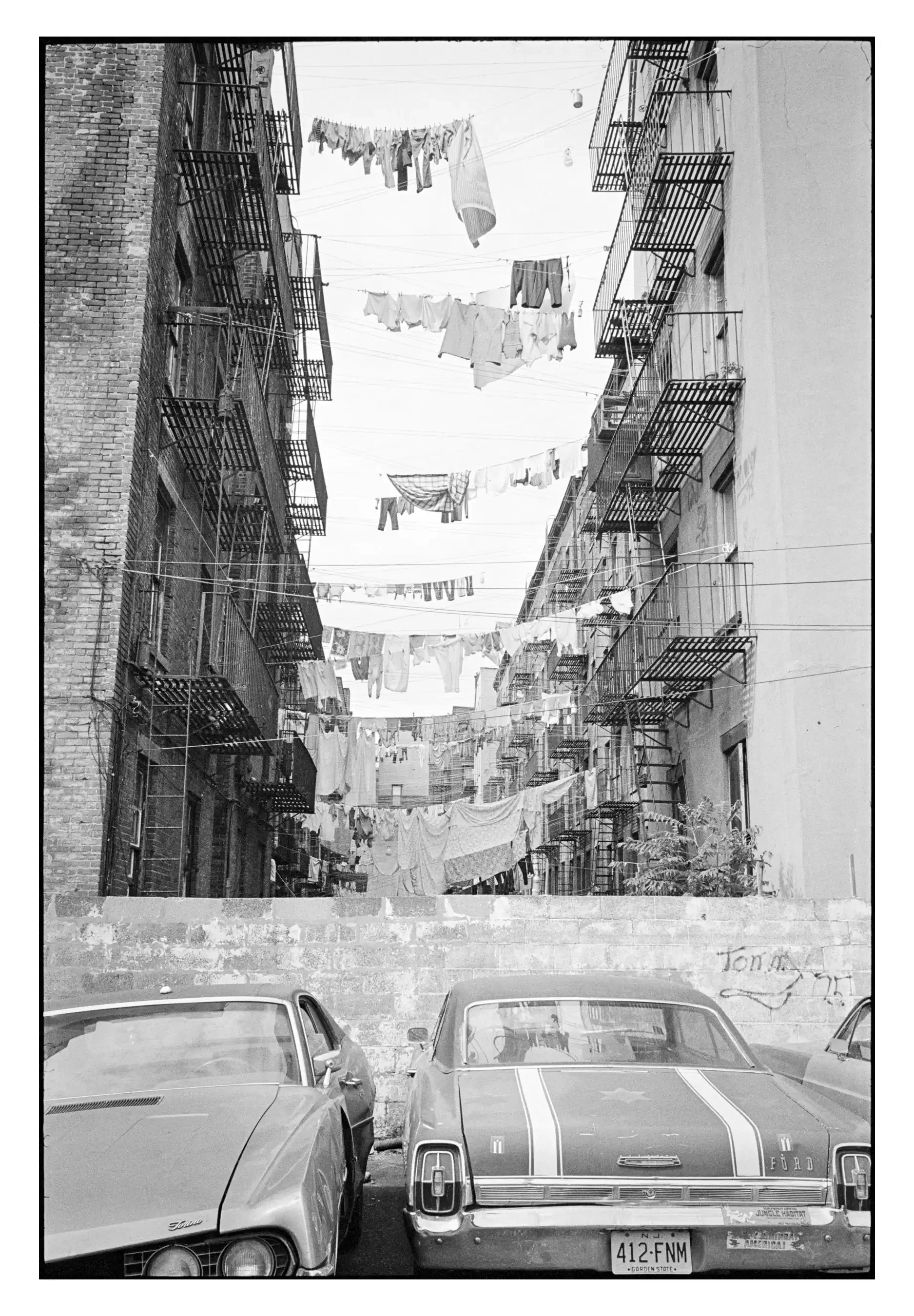 77-74_43 001_Spotted.webp