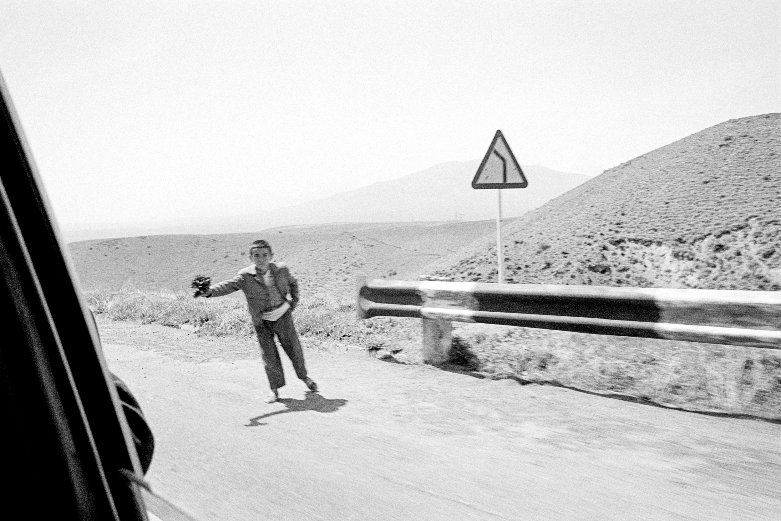 99-126_05a 001_Spotted copy.webp