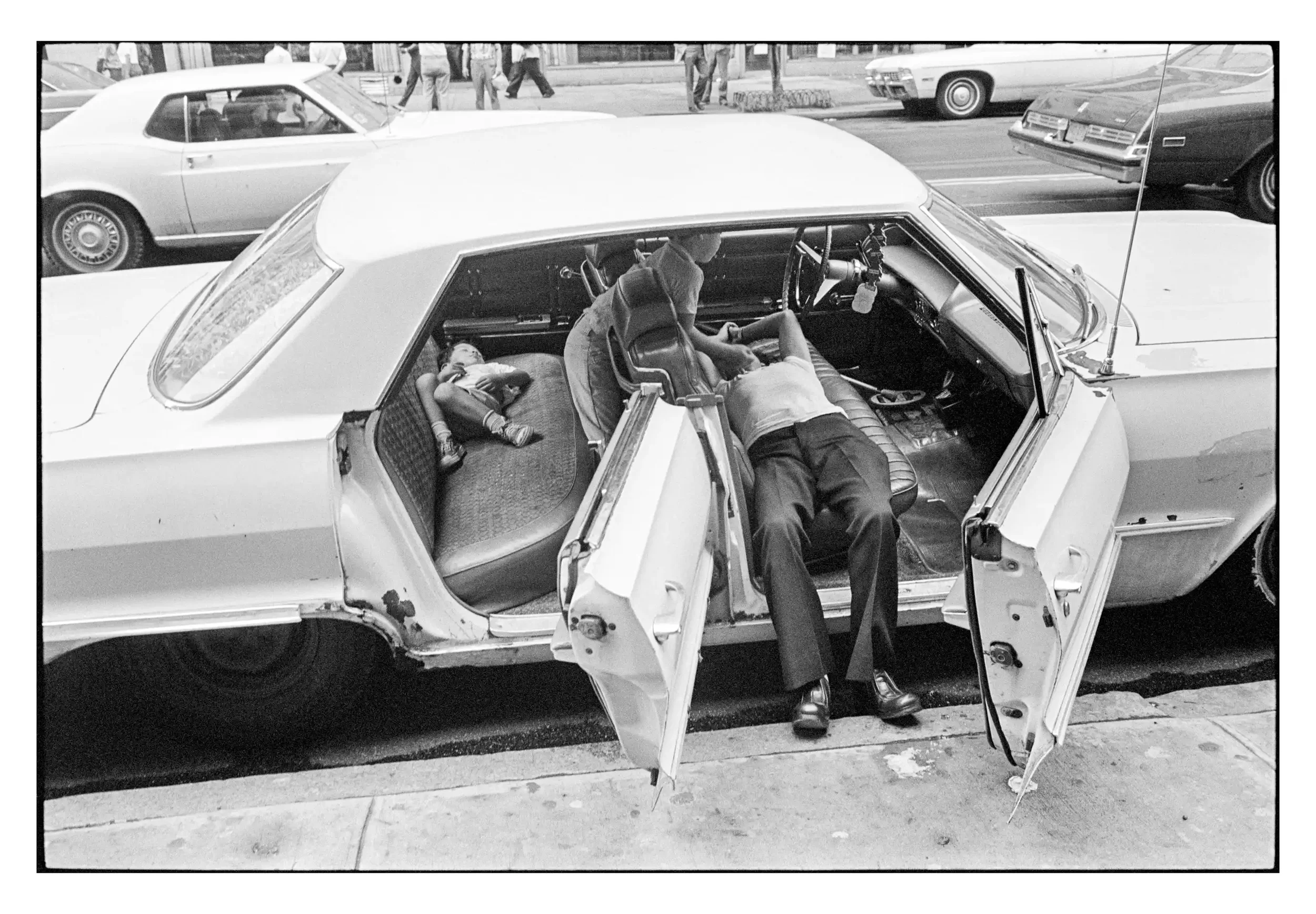 77-38_22 001_Spotted.webp