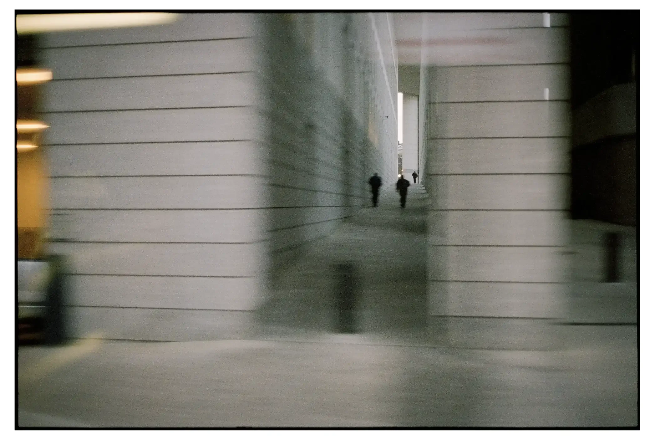 07-17c 001-copy-spotted copy.webp