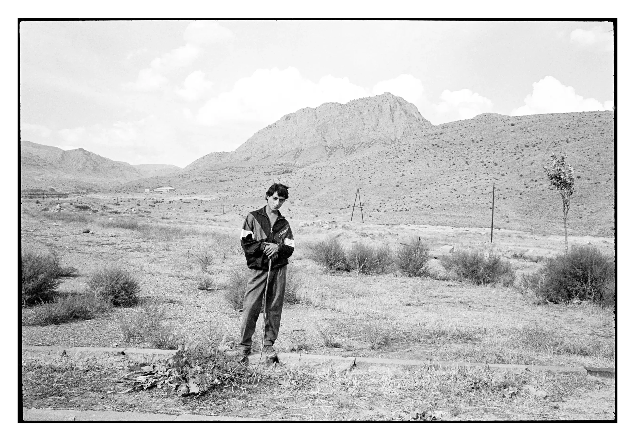 95-189_03 001_Spotted-2.webp