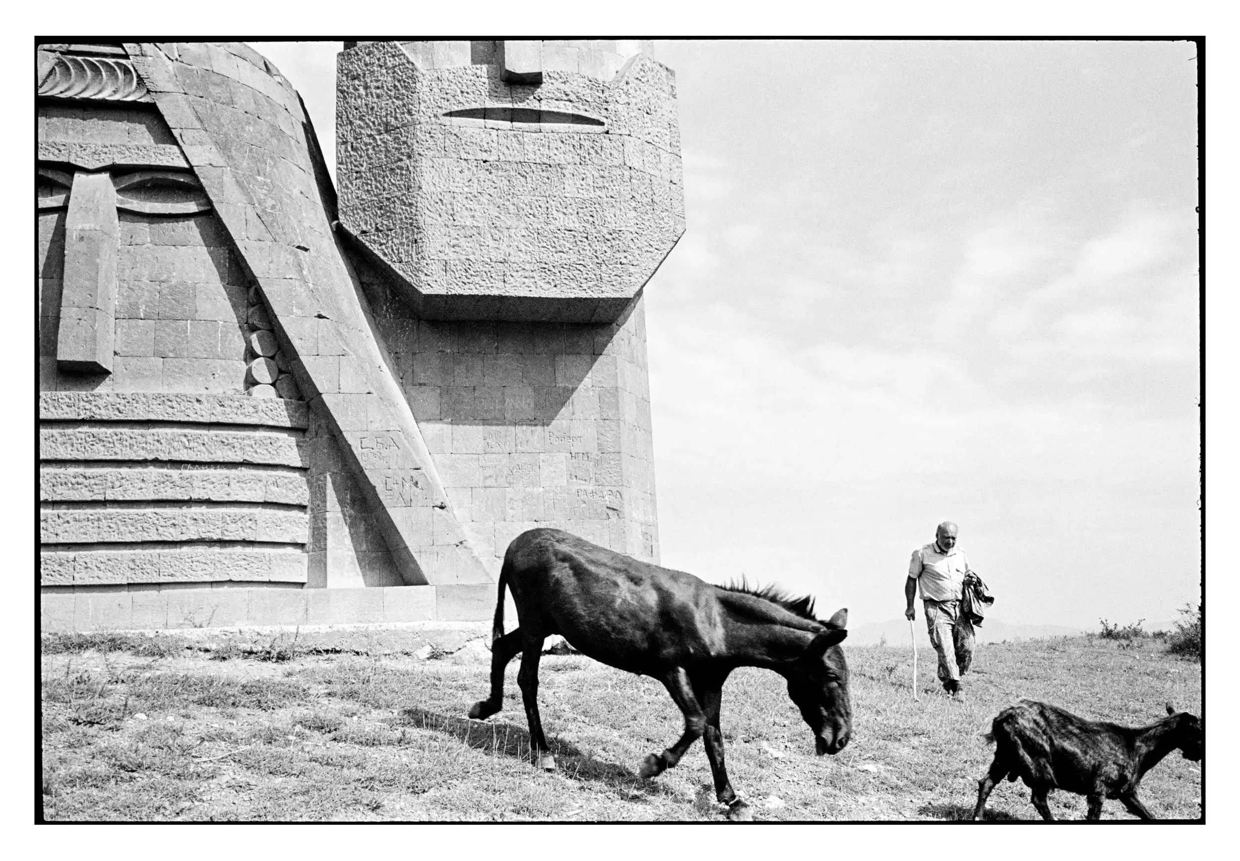 95-192_14 001_Spotted.webp