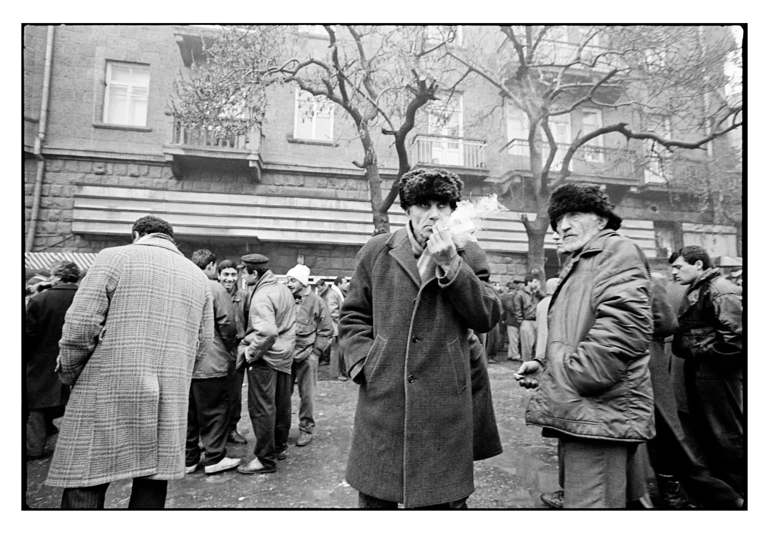 94-38_08 001_Spotted.webp