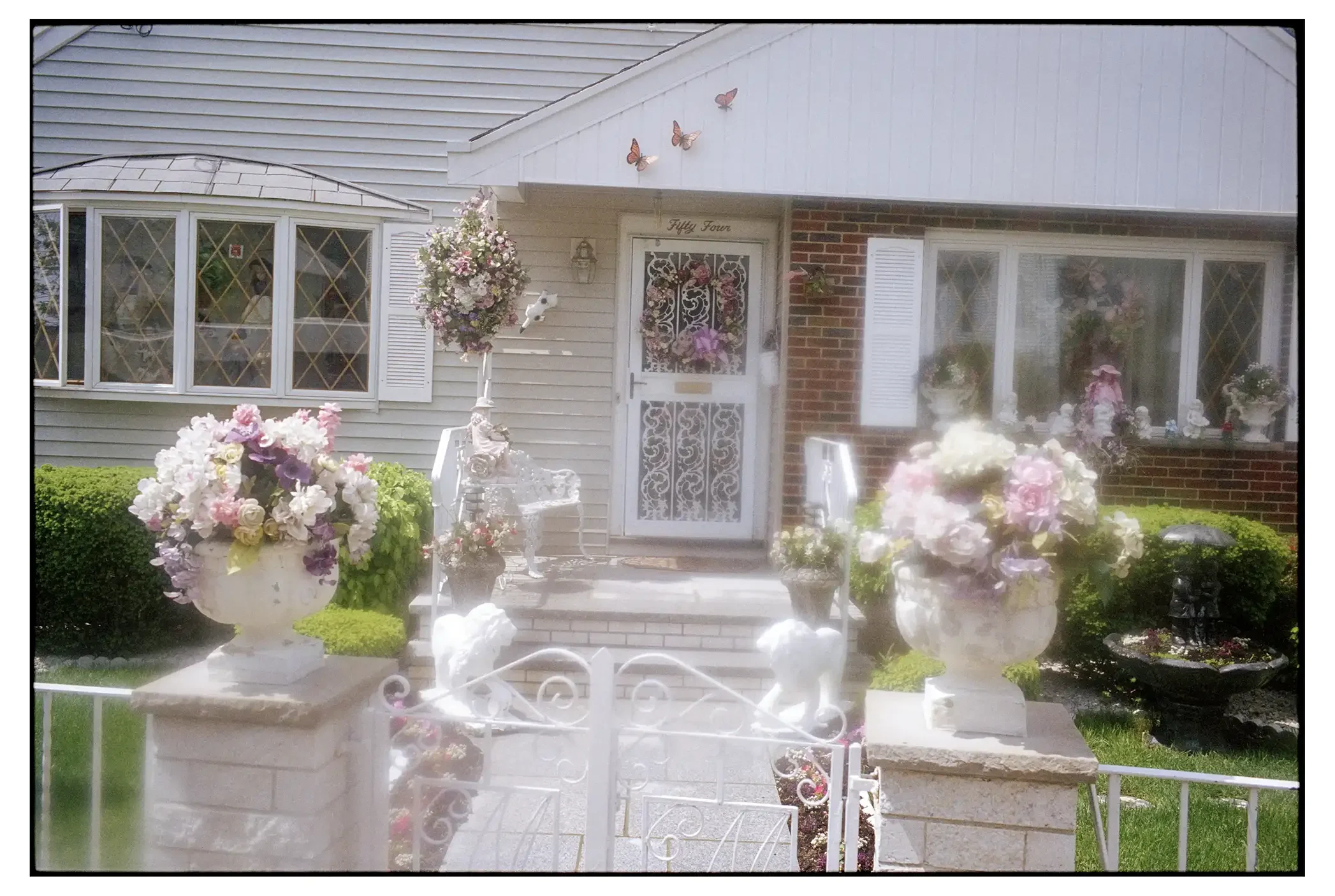 07-125c 001-copy-spotted copy.webp