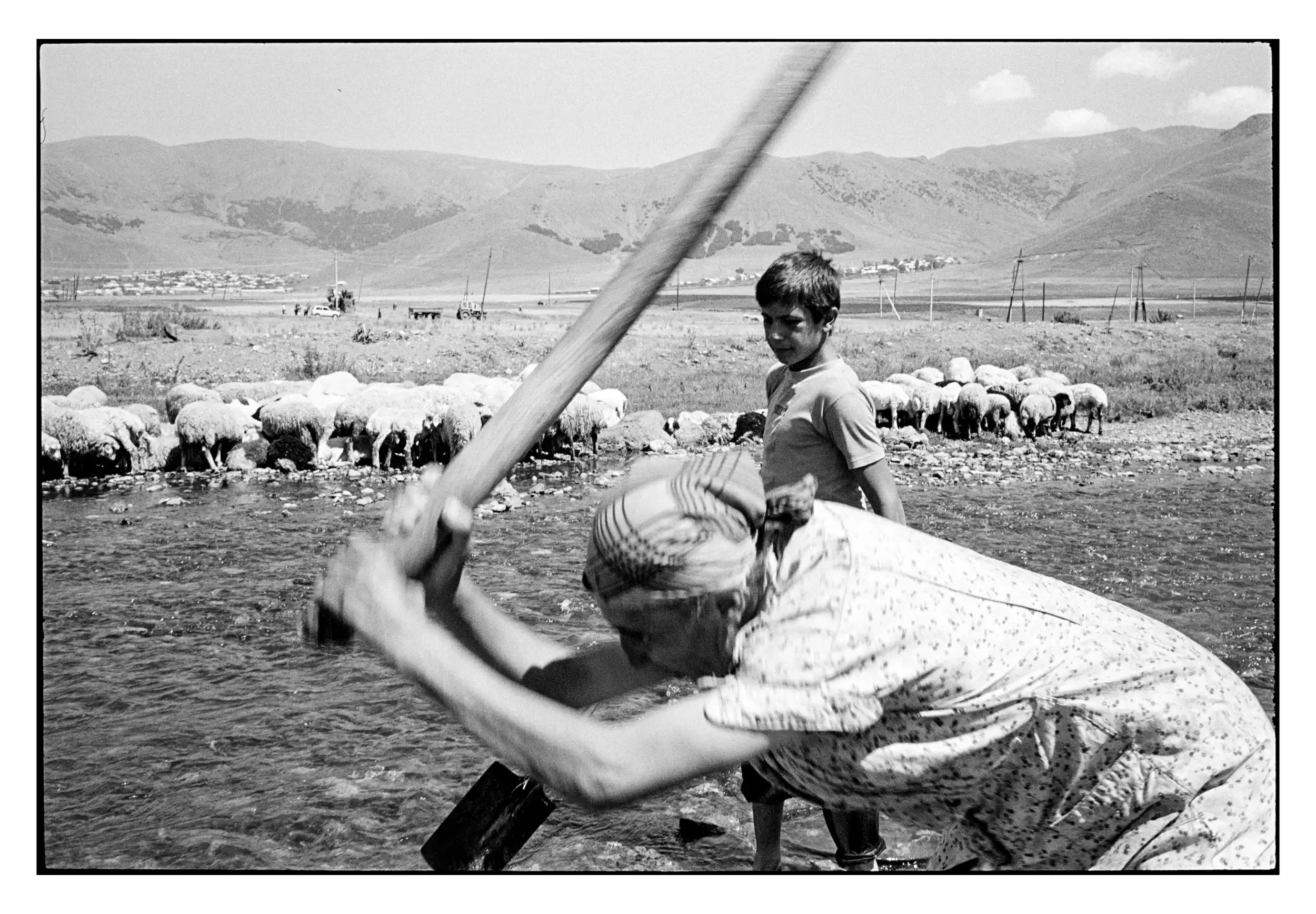 96-235_14 001_Spotted.webp