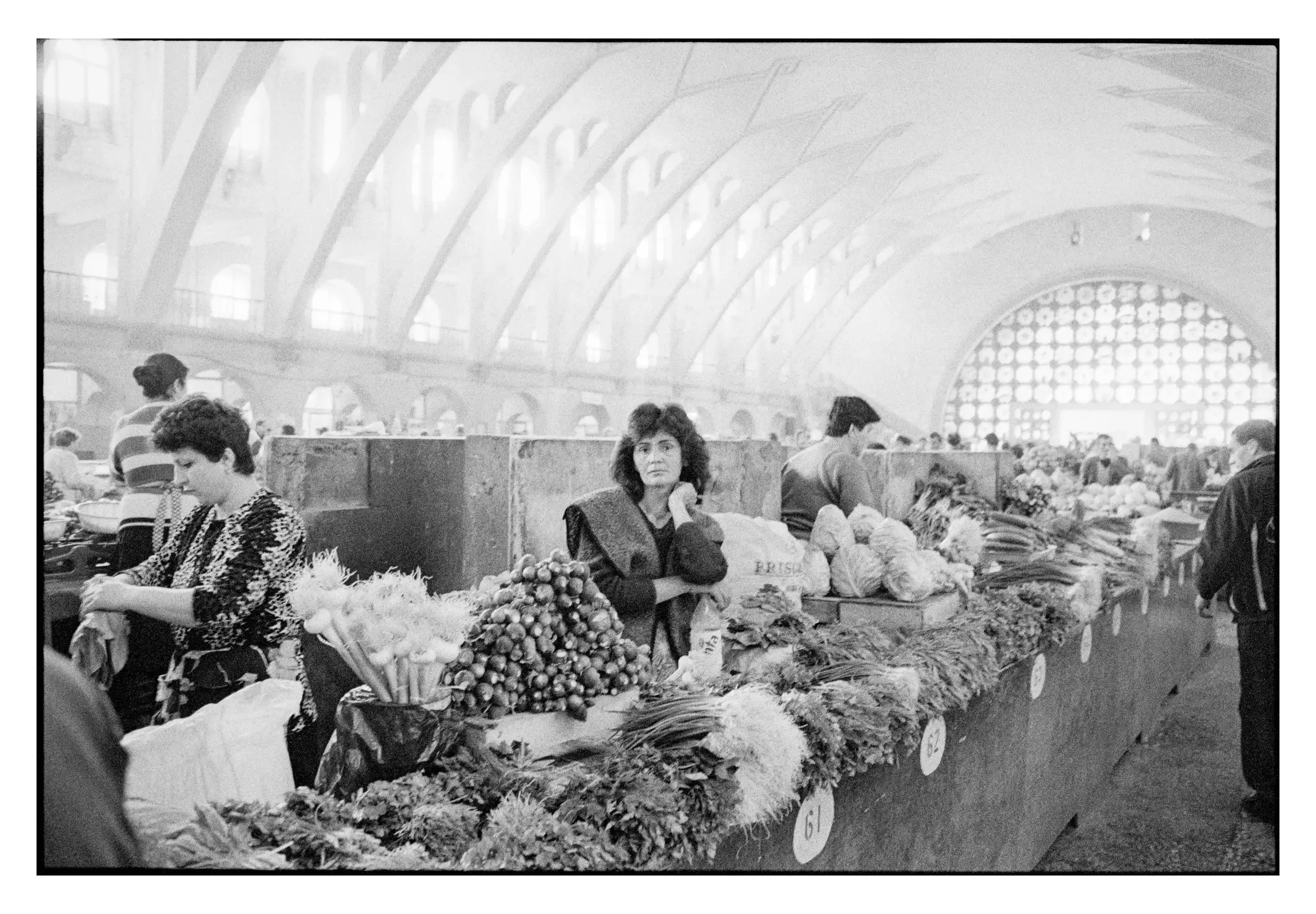 99-224_23 001_Spotted.webp