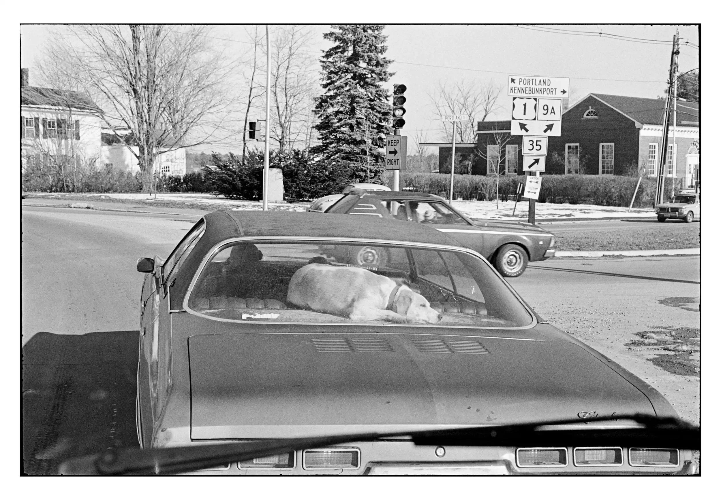 No#-City-89 001_spotted.webp