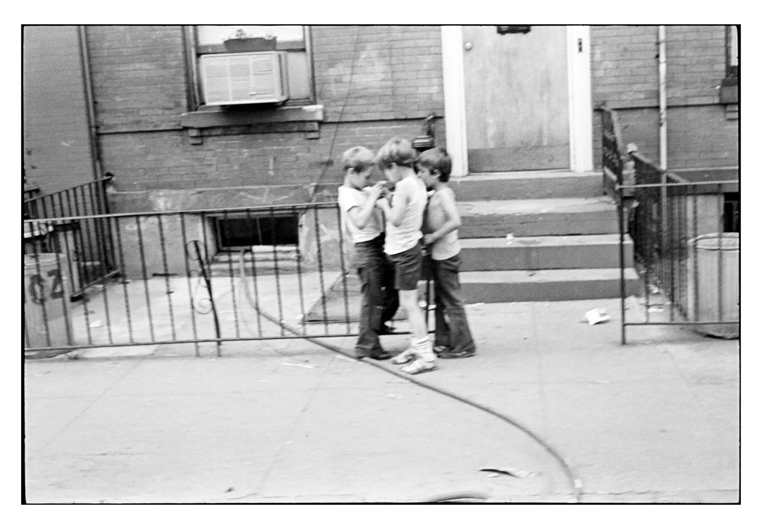 77-94_22a 001_Spotted.webp