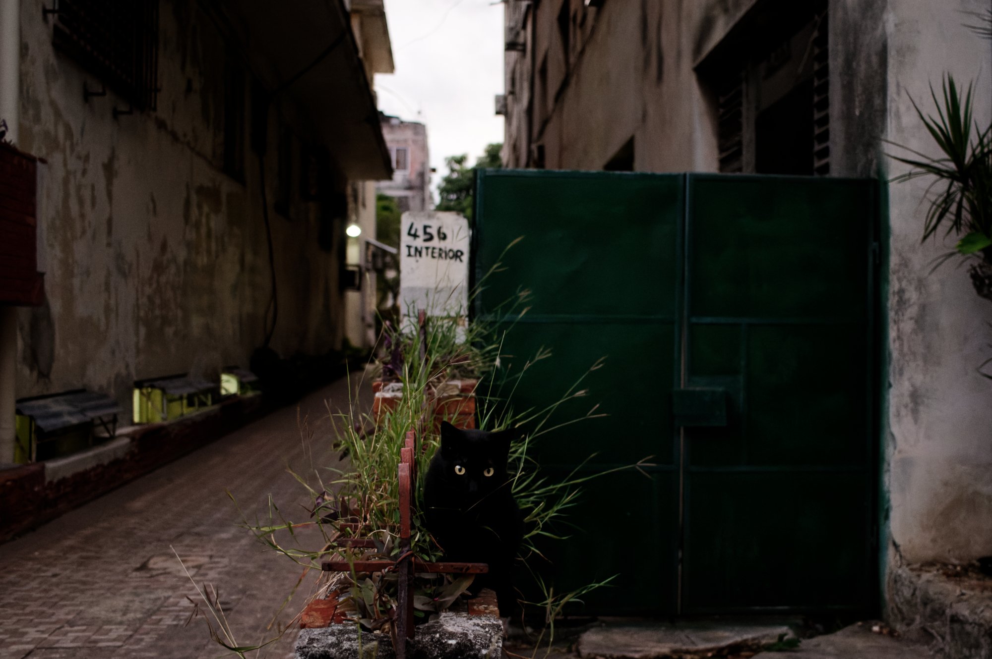 IMG_2850_M_DxO.jpg