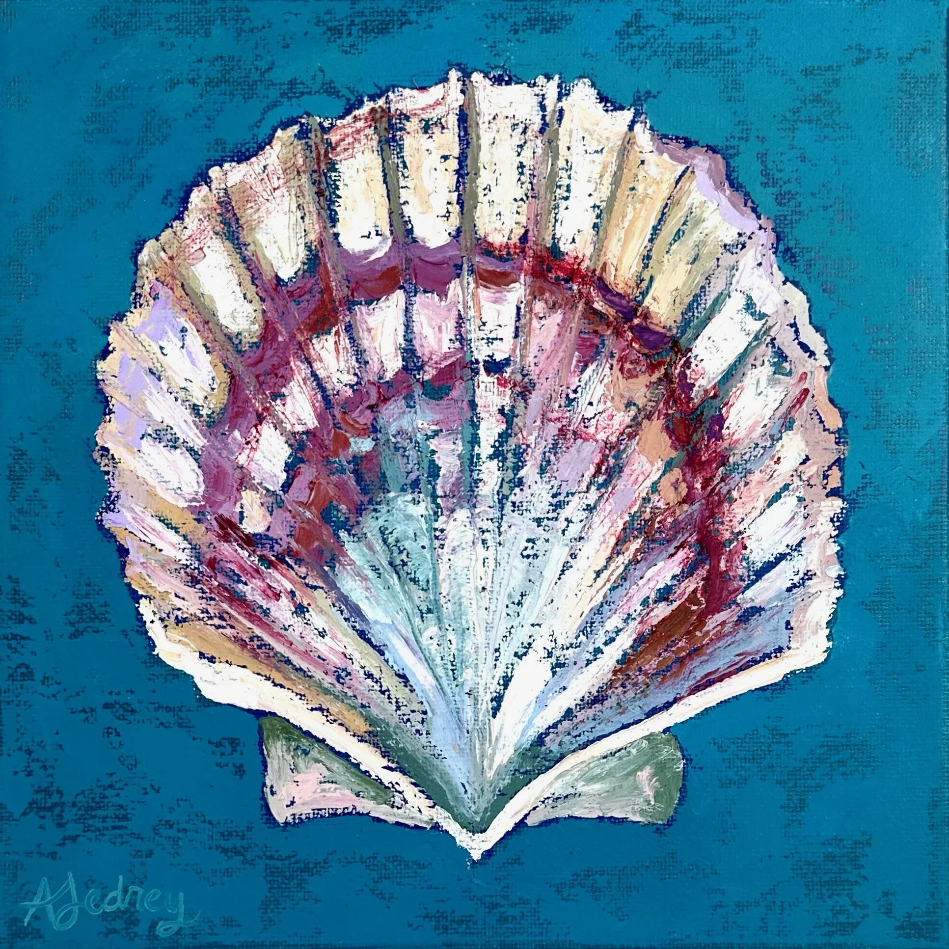 Zebra Scallop, Oil, $125, Jedrey.jpeg