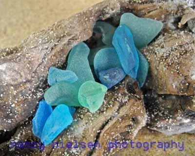 Sea Glass & Driftwood.jpg