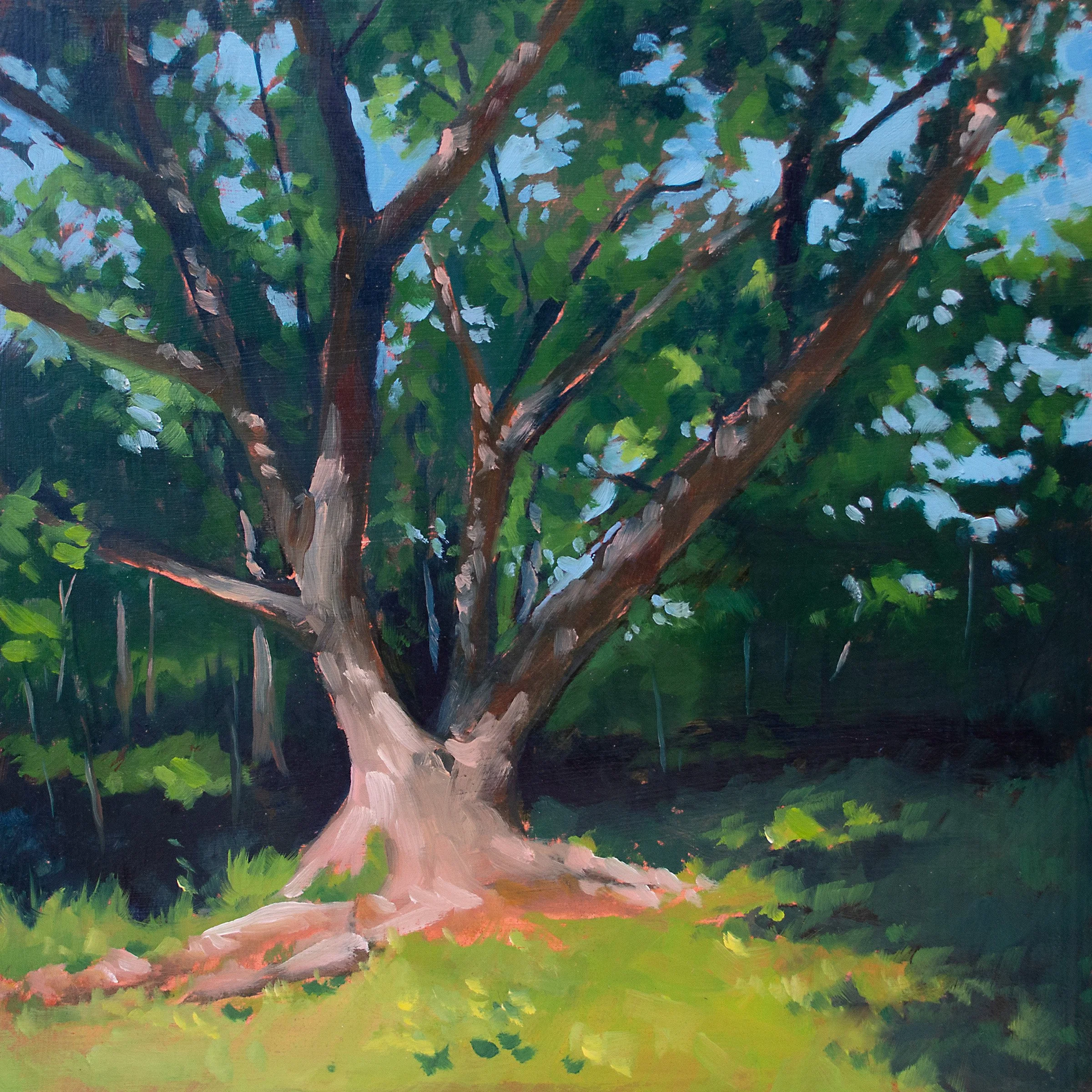 A painting of a large, mature tree with a thick trunk and sprawling branches with green leaves, set against a background of blue sky and dark greenery. The ground is a grassy area with patches of sunlight.