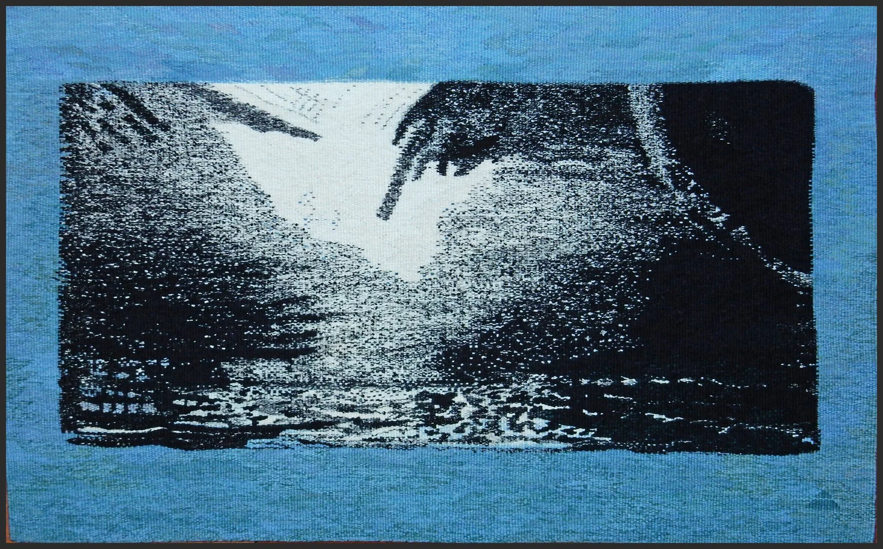 JanetAustinChaosAfterTheStorm copy.jpg