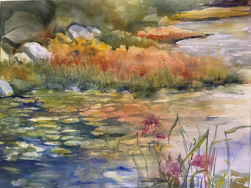 Donna Mazzone
