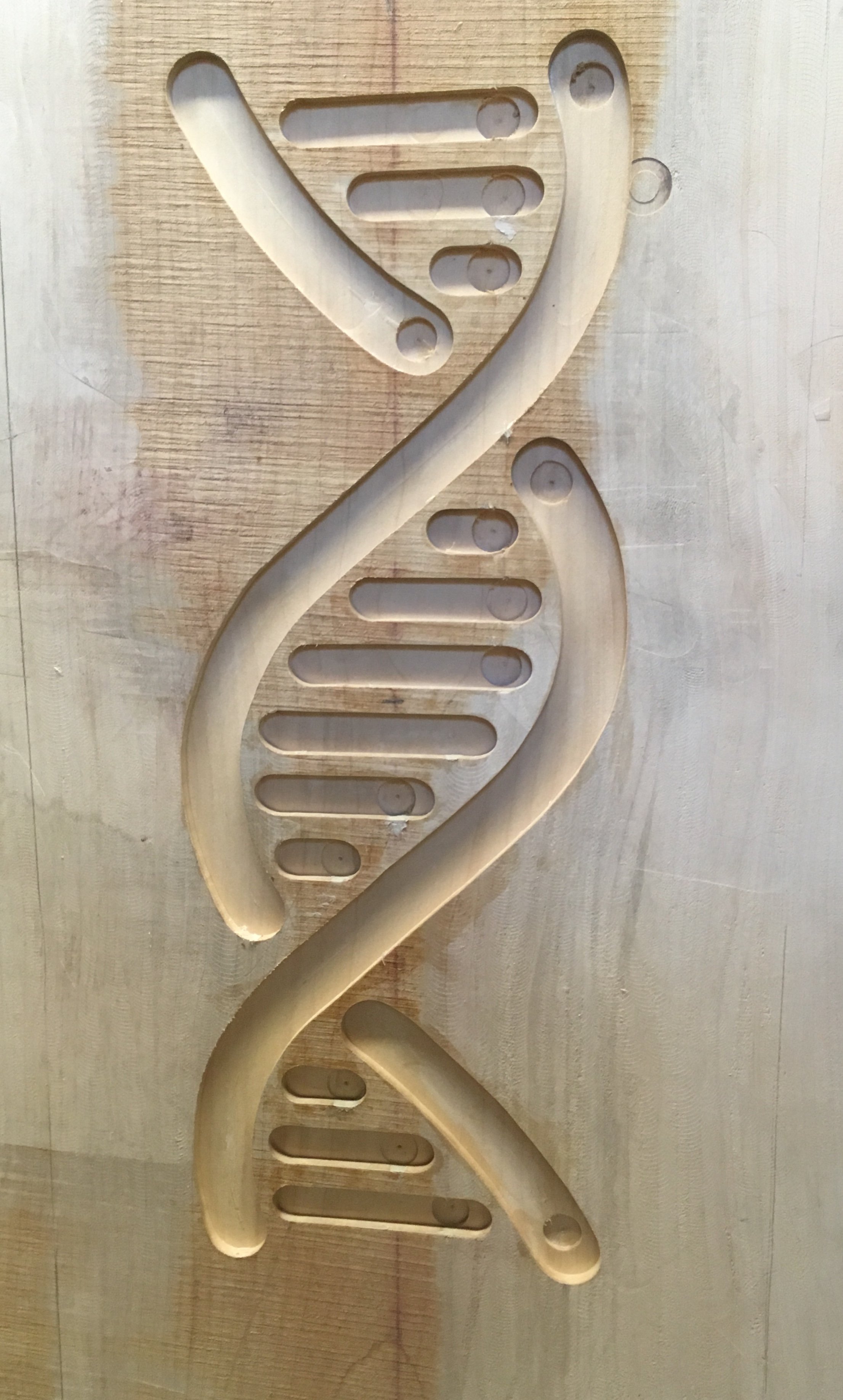 chromosome table.jpg