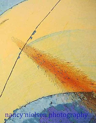 Opposites Attract.jpg