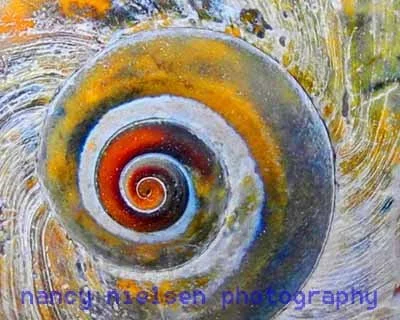 Eye of the Storm.jpg