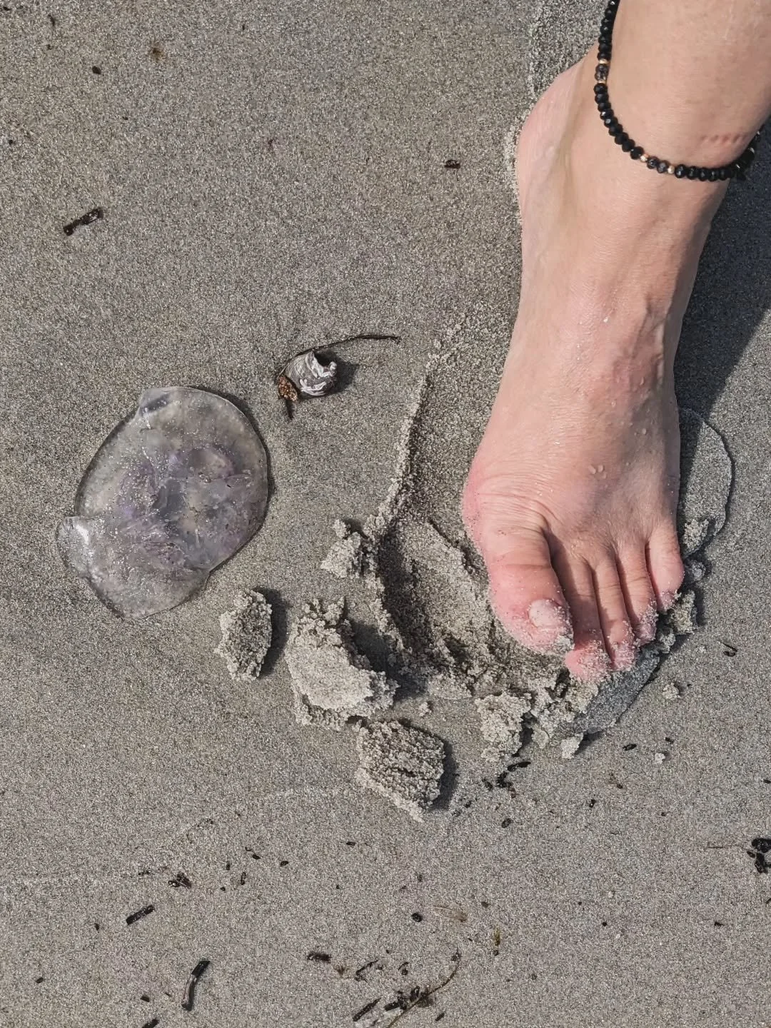 I am moving awareness. My question is a prayer. My dance is a response. What lies beneath me? Where am I held, supported, uplifted? Where do I push against, resist, withhold? Where do I trust, move with, around, and through? Smooth, circular, contino