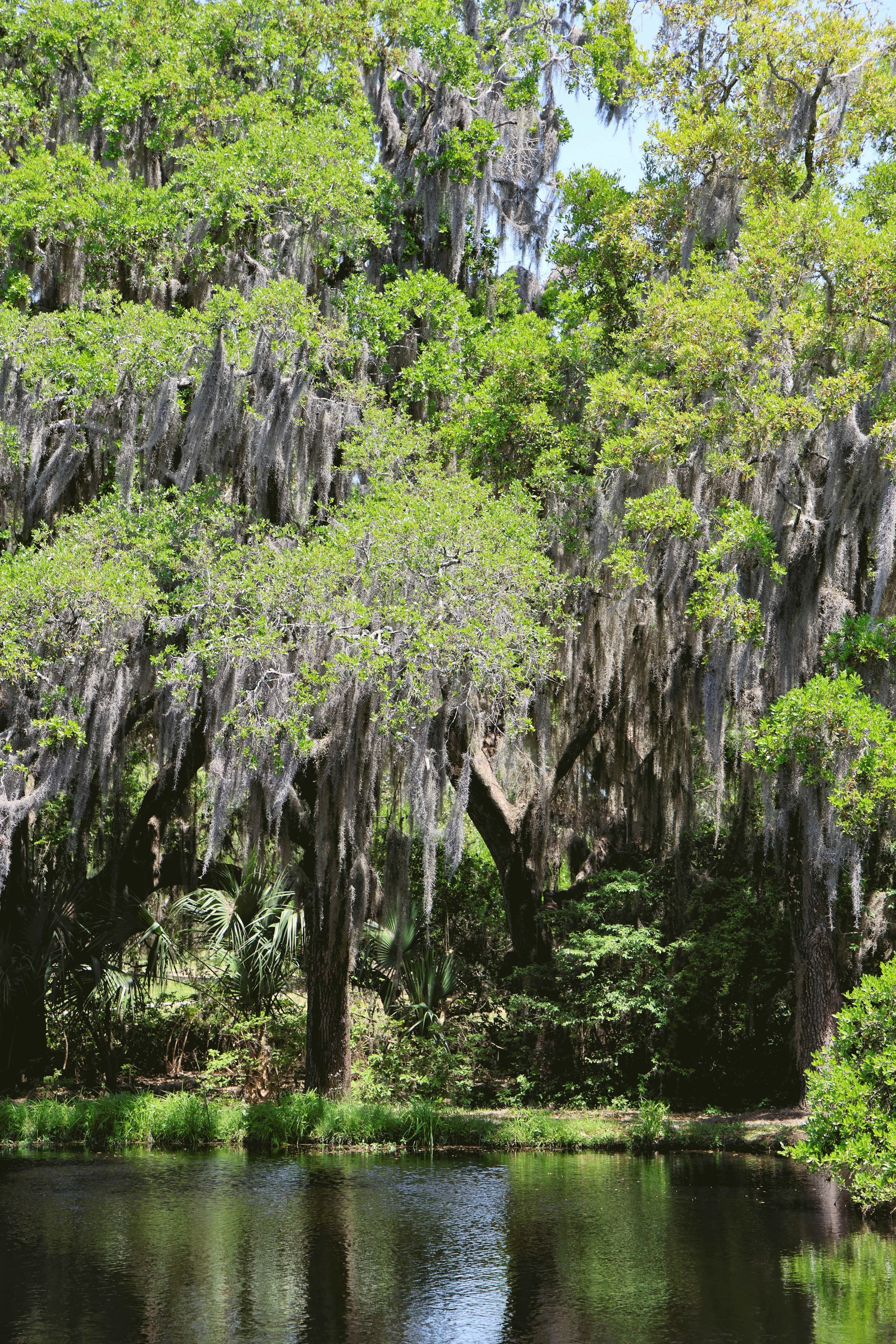 Lazy Southern Sunny Day