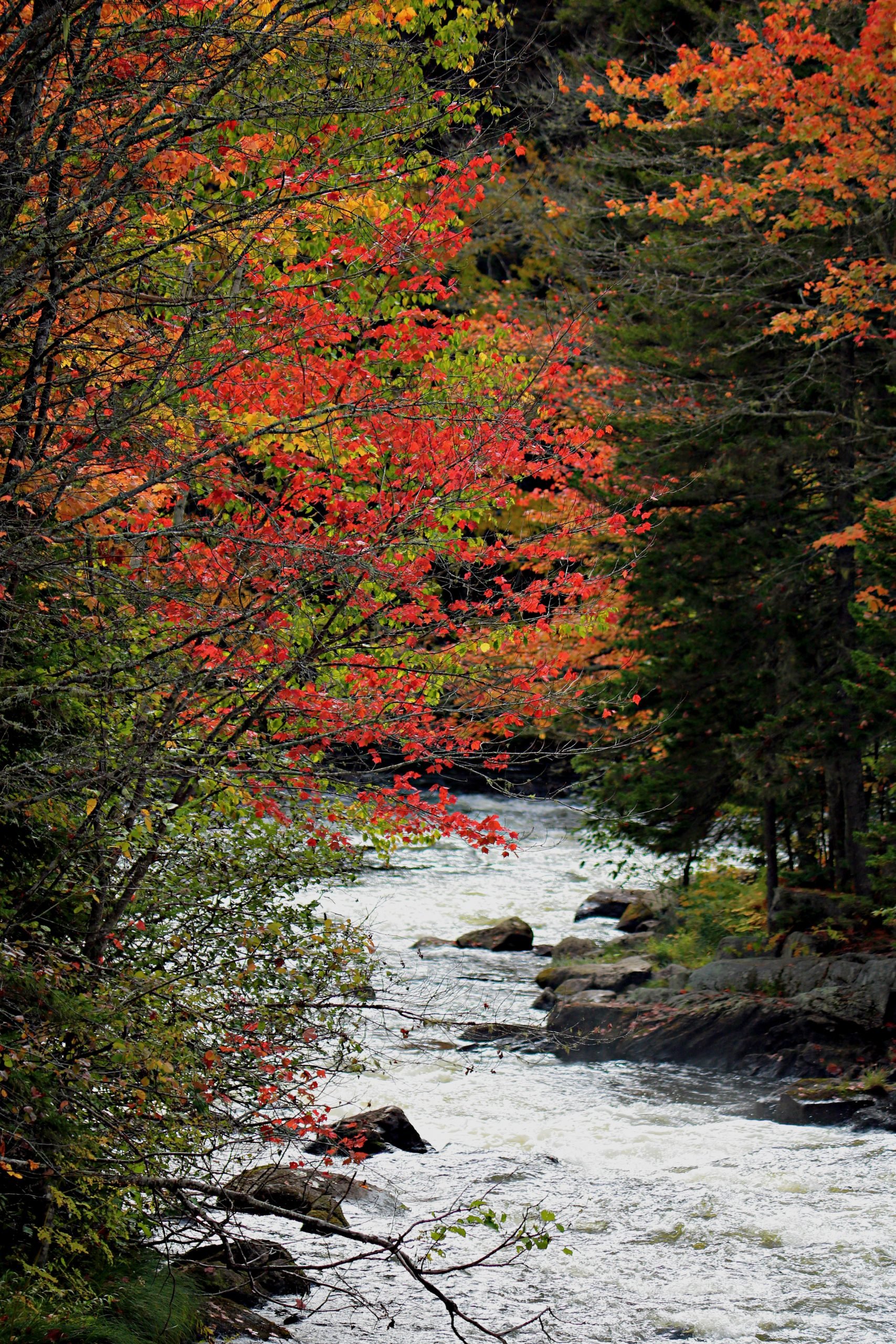 Magalloway River - Maine