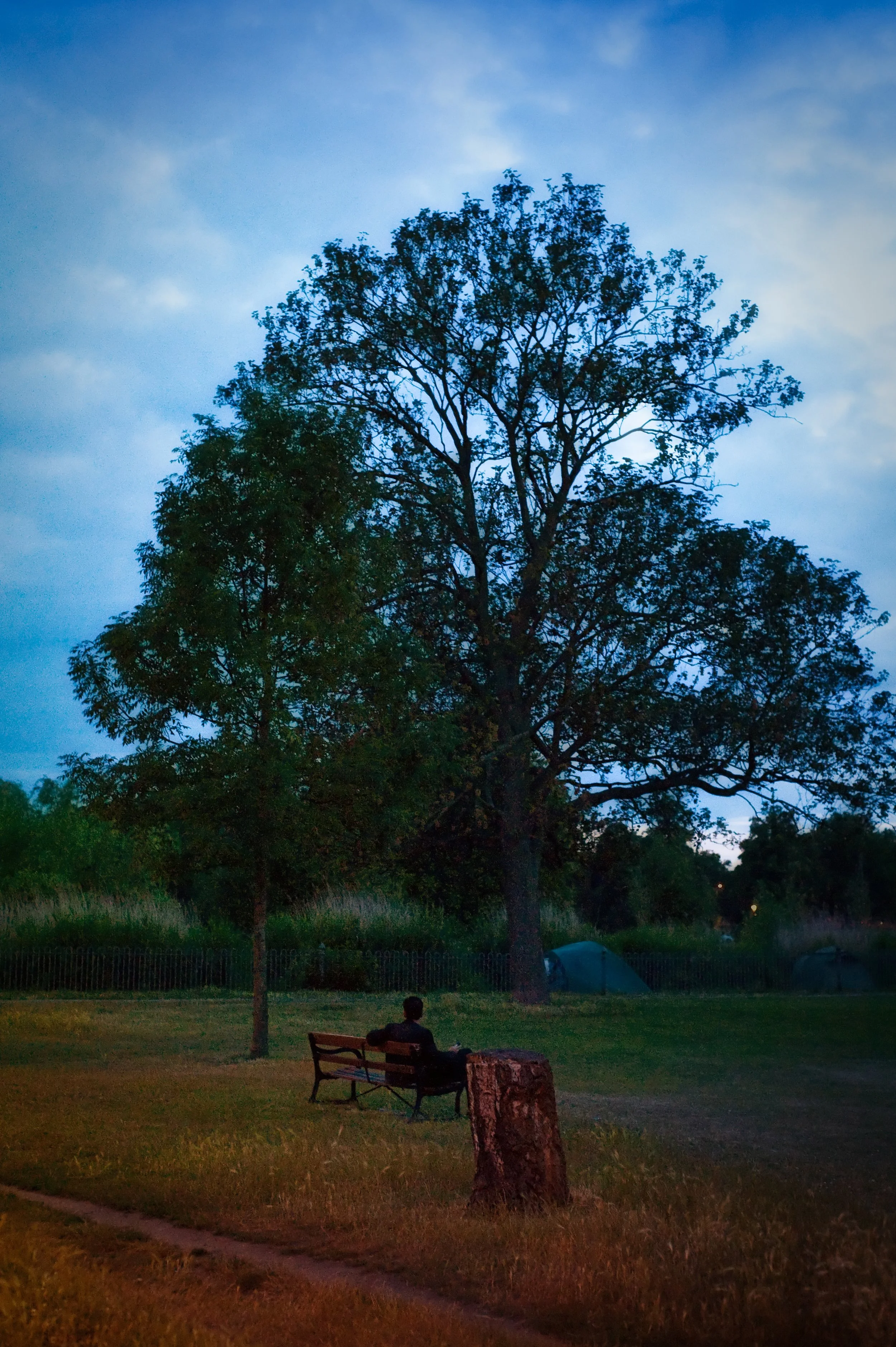 A person sitting alone on a park bench under a large tree at dusk, with tents visible in the background.