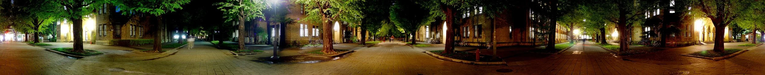 Nighttime view of a city street with brick sidewalks, trees lining the sidewalk, and buildings with lit windows.