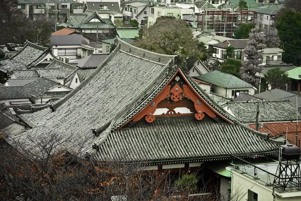 A traditional Japanese temple with a large, curved, tiled roof surrounded by a neighborhood of houses with similarly styled roofs.